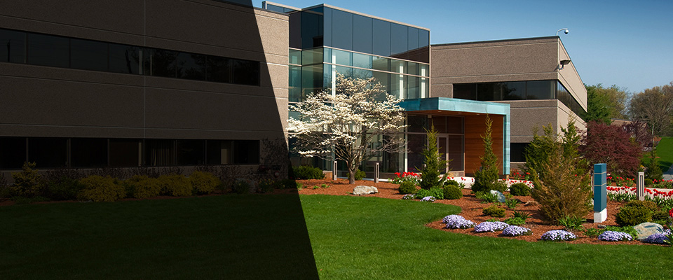 Excelsior Landscapers