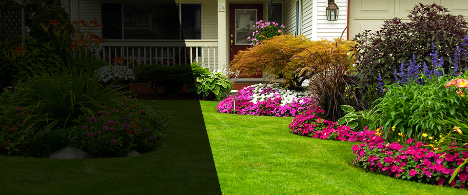Excelsior Landscapers