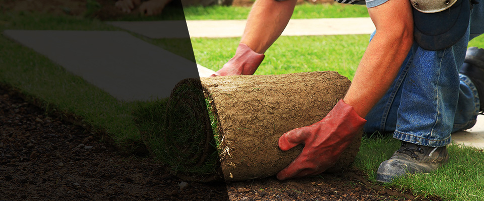 Excelsior Landscapers